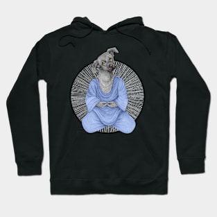 almost meditating dog 2 Hoodie